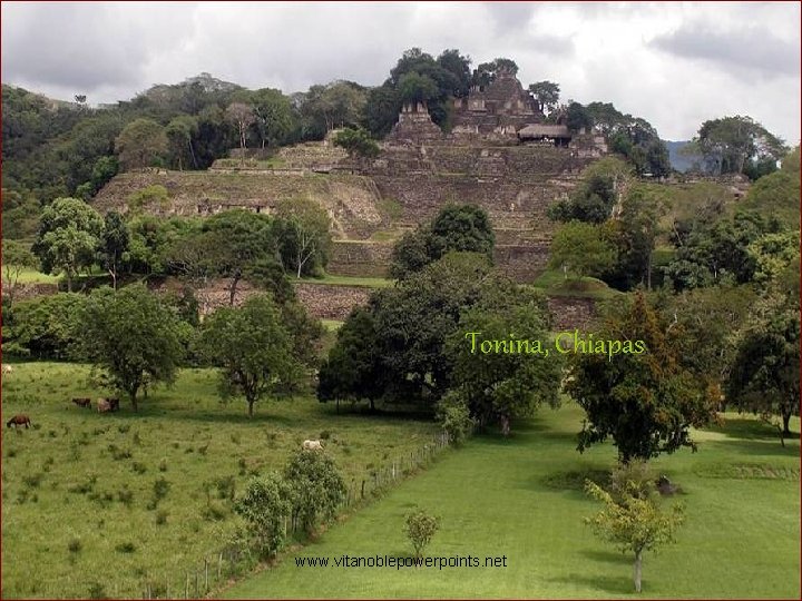 Tonina, Chiapas www. vitanoblepowerpoints. net 