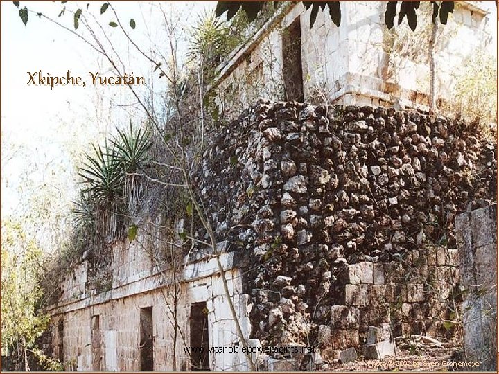 Xkipche, Yucatán www. vitanoblepowerpoints. net Photo © 2002 by Sven Gronemeyer 