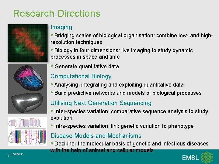 Research Directions Imaging • Bridging scales of biological organisation: combine low- and highresolution techniques