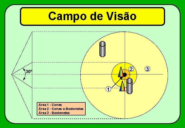 Campo de Visão Área 1 - Cones Área 2 - Cones e Bastonetes Área