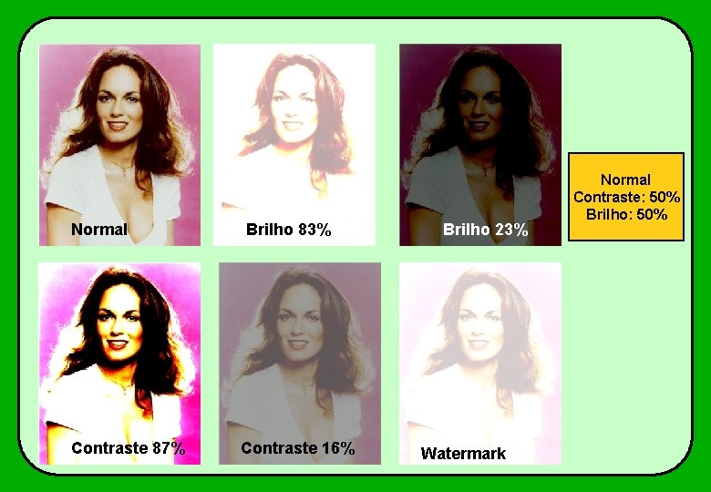 Normal Contraste 87% Brilho 83% Contraste 16% Brilho 23% Watermark Normal Contraste: 50% Brilho: