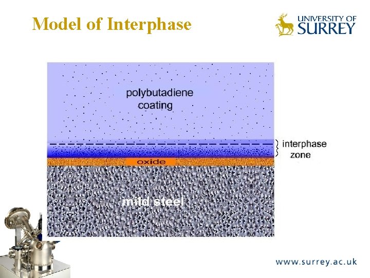 Model of Interphase The Surface Analysis Laboratory 