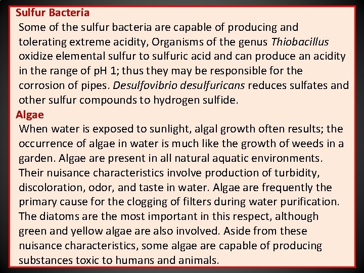 Sulfur Bacteria Some of the sulfur bacteria are capable of producing and tolerating extreme
