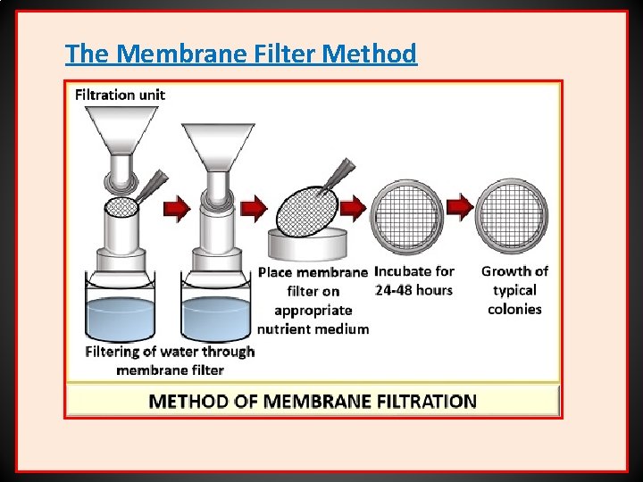 The Membrane Filter Method 