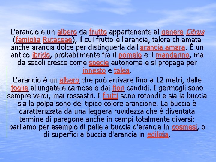 L'arancio è un albero da frutto appartenente al genere Citrus (famiglia Rutaceae), il cui