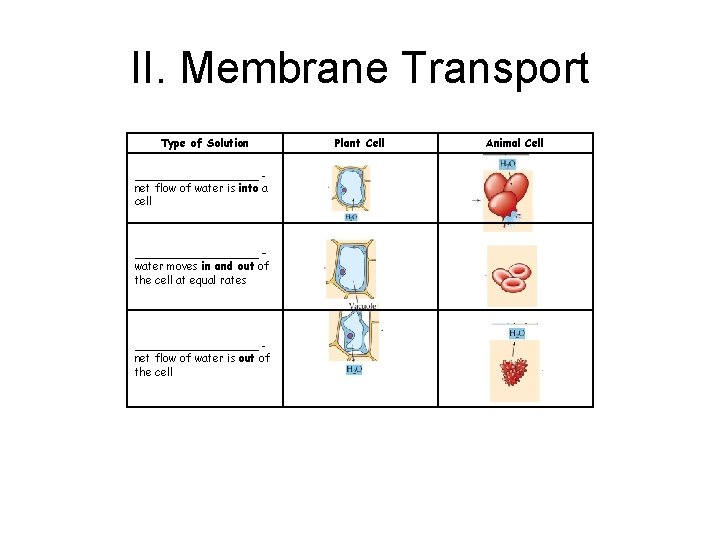 II. Membrane Transport Type of Solution _________ net flow of water is into a