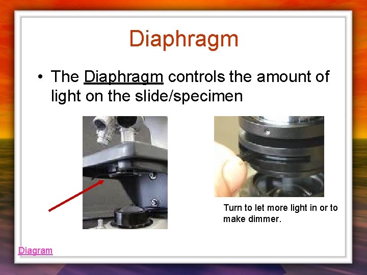 Diaphragm • The Diaphragm controls the amount of light on the slide/specimen Turn to