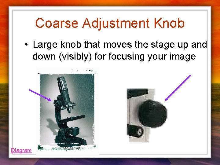 Coarse Adjustment Knob • Large knob that moves the stage up and down (visibly)