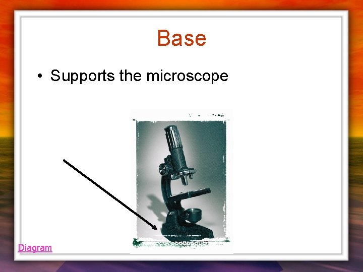 Base • Supports the microscope Diagram 