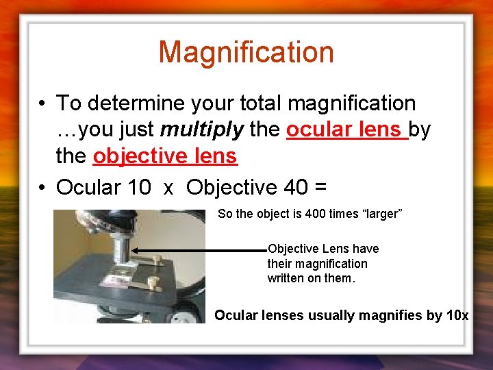 Magnification • To determine your total magnification …you just multiply the ocular lens by