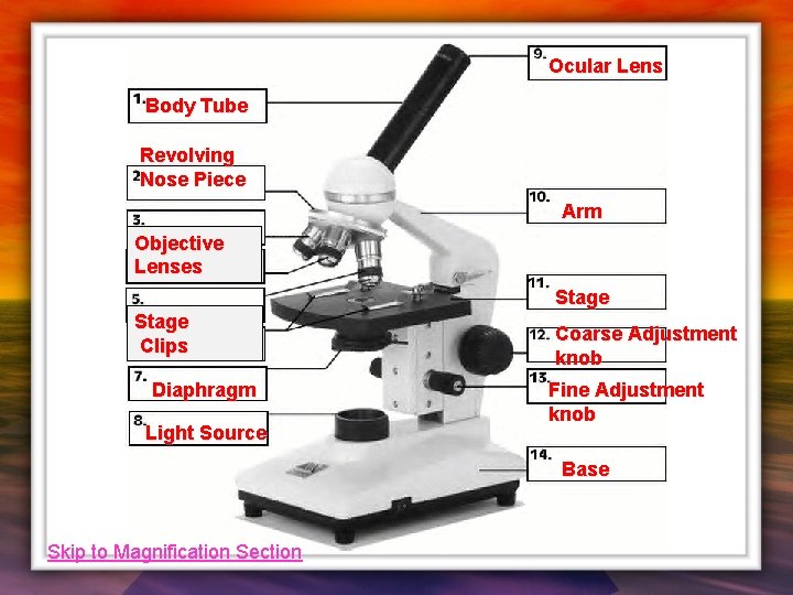 Ocular Lens Body Tube Revolving Nose Piece Arm Objective Lenses Stage Clips Diaphragm Light