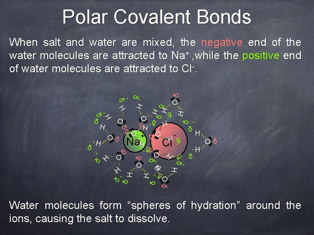 Polar Covalent Bonds δ+ + H δ H O δOδ H H δ+ O