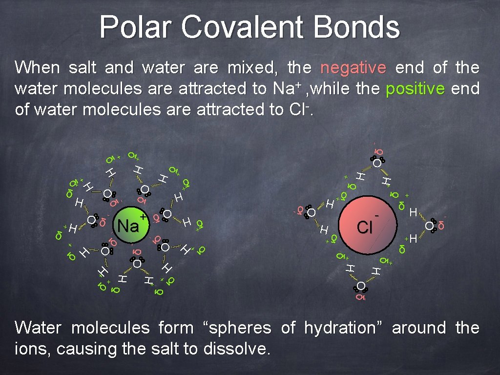 Polar Covalent Bonds - H+ δ O +H H + δ δ + -