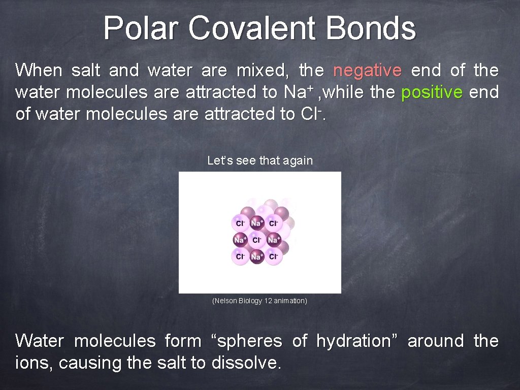 Polar Covalent Bonds When salt and water are mixed, the negative end of the