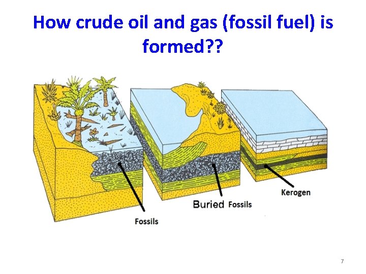 How crude oil and gas (fossil fuel) is formed? ? 7 