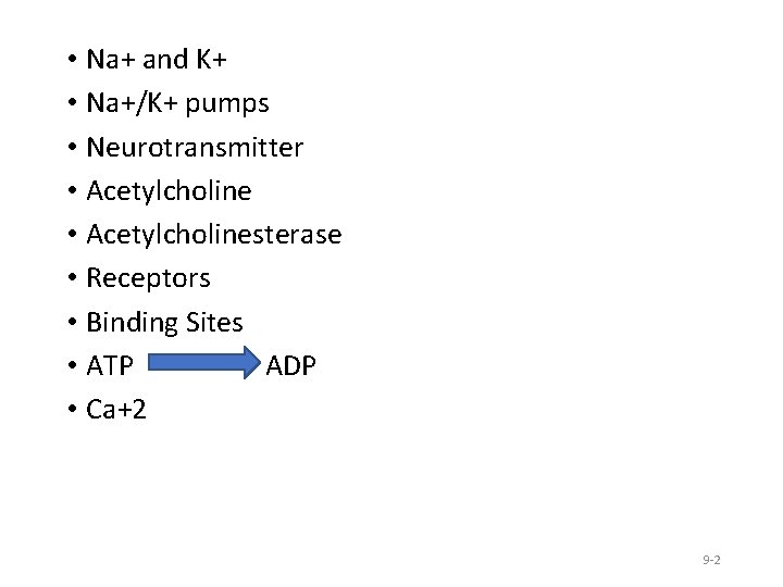  • Na+ and K+ • Na+/K+ pumps • Neurotransmitter • Acetylcholinesterase • Receptors