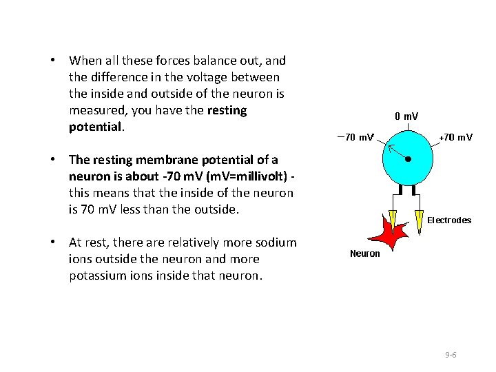  • When all these forces balance out, and the difference in the voltage
