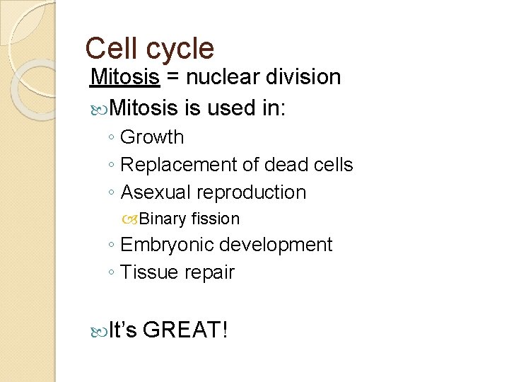 Cell cycle Mitosis = nuclear division Mitosis is used in: ◦ Growth ◦ Replacement