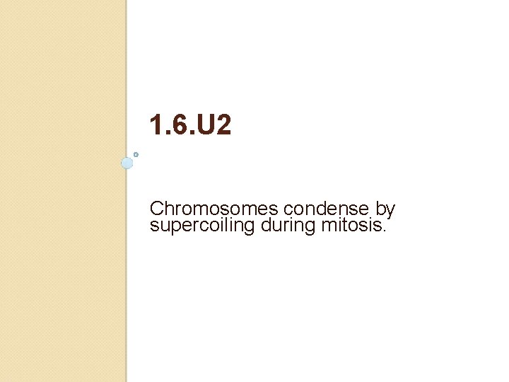1. 6. U 2 Chromosomes condense by supercoiling during mitosis. 