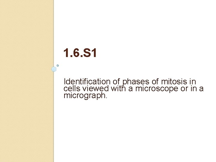 1. 6. S 1 Identification of phases of mitosis in cells viewed with a
