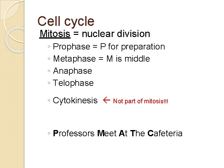 Cell cycle Mitosis = nuclear division ◦ Prophase = P for preparation ◦ Metaphase