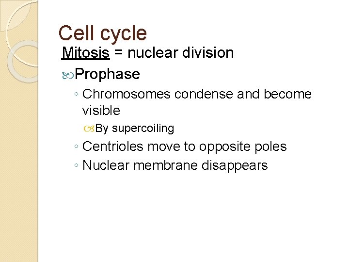 Cell cycle Mitosis = nuclear division Prophase ◦ Chromosomes condense and become visible By