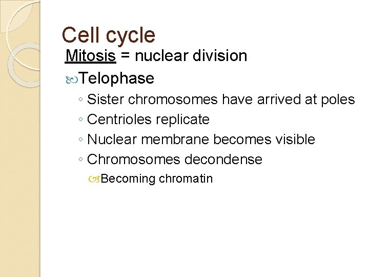 Cell cycle Mitosis = nuclear division Telophase ◦ Sister chromosomes have arrived at poles