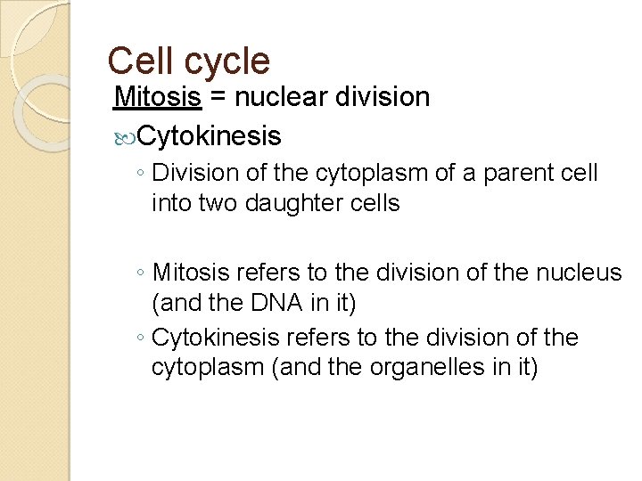 Cell cycle Mitosis = nuclear division Cytokinesis ◦ Division of the cytoplasm of a