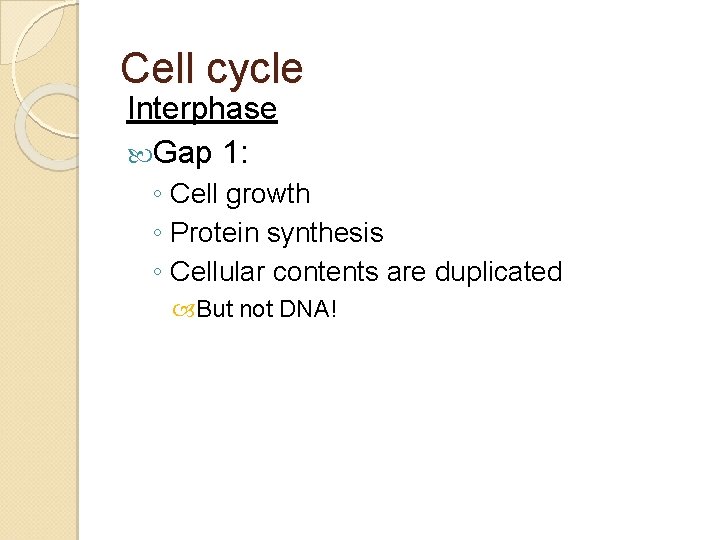 Cell cycle Interphase Gap 1: ◦ Cell growth ◦ Protein synthesis ◦ Cellular contents