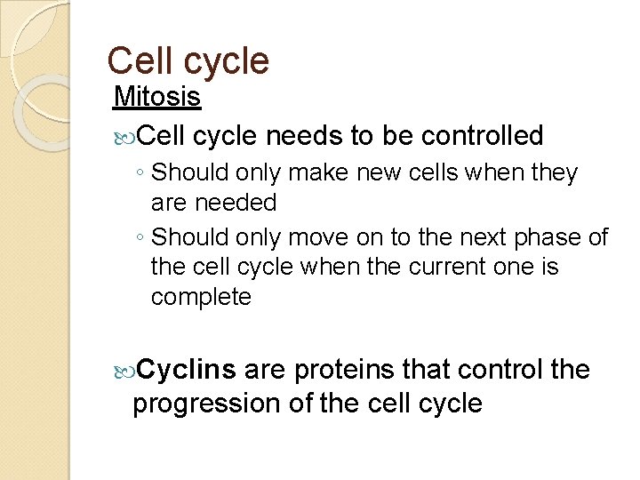 Cell cycle Mitosis Cell cycle needs to be controlled ◦ Should only make new
