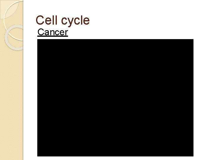 Cell cycle Cancer 