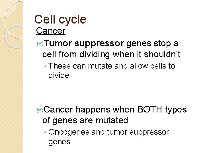 Cell cycle Cancer Tumor suppressor genes stop a cell from dividing when it shouldn’t