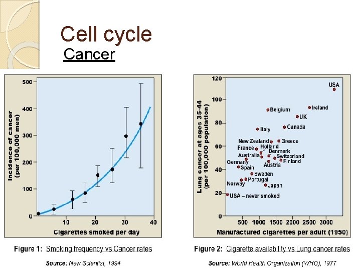 Cell cycle Cancer 