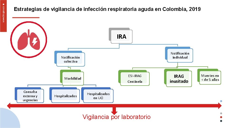 Estrategias de vigilancia de infección respiratoria aguda en Colombia, 2019 IRA Notificación individual Notificación