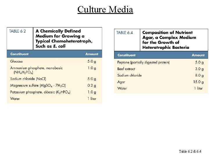 Culture Media Table 6. 2 & 6. 4 