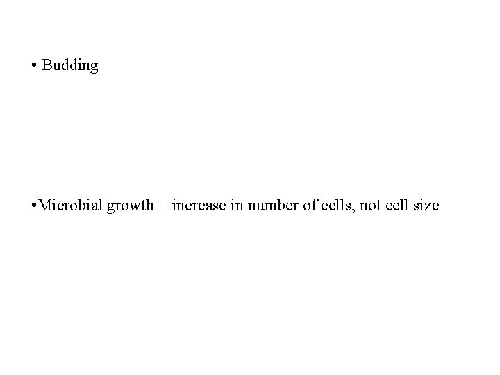  • Budding • Microbial growth = increase in number of cells, not cell