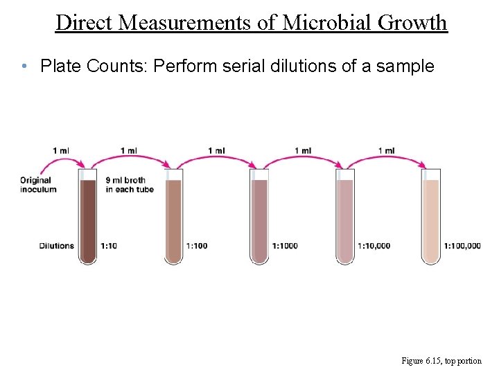 Direct Measurements of Microbial Growth • Plate Counts: Perform serial dilutions of a sample