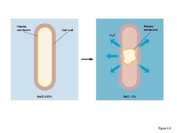 Figure 6. 4 