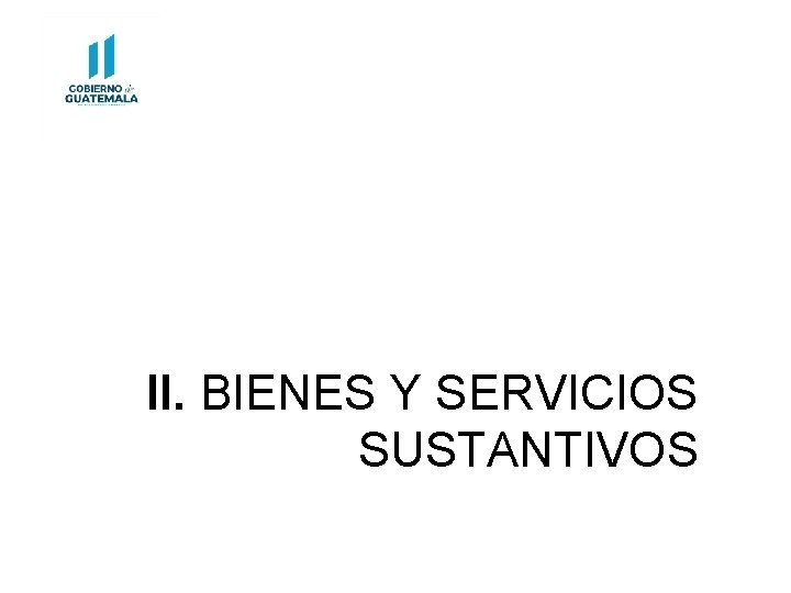 II. BIENES Y SERVICIOS SUSTANTIVOS 