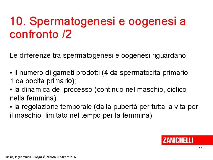 10. Spermatogenesi e oogenesi a confronto /2 Le differenze tra spermatogenesi e oogenesi riguardano: