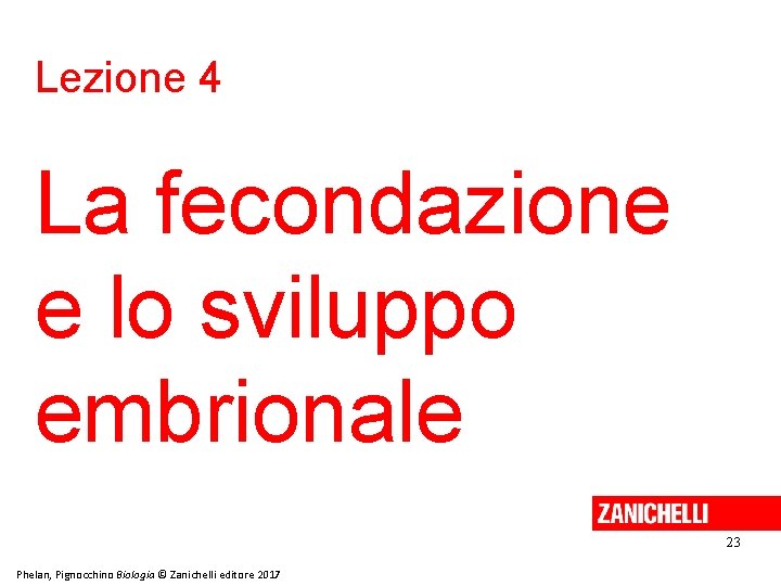 Lezione 4 La fecondazione e lo sviluppo embrionale 23 Phelan, Pignocchino Biologia © Zanichelli