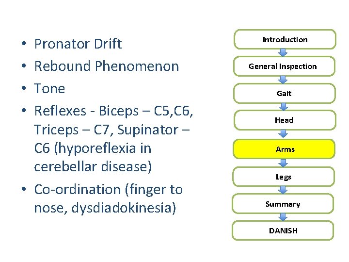 Pronator Drift Rebound Phenomenon Tone Reflexes - Biceps – C 5, C 6, Triceps