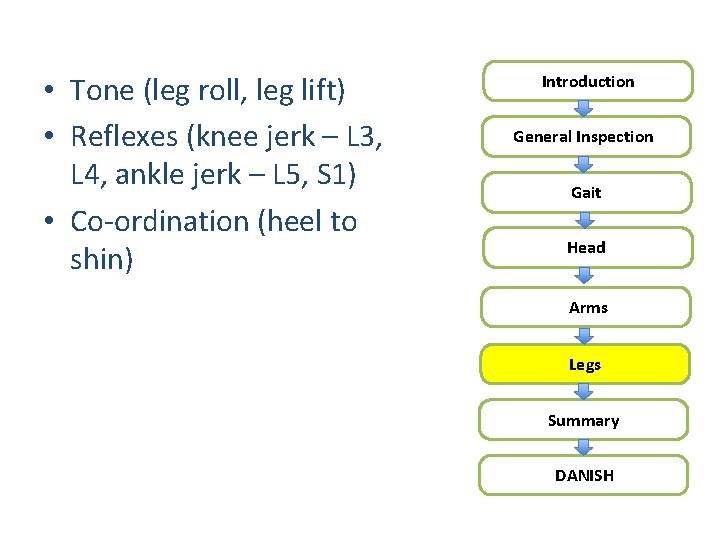  • Tone (leg roll, leg lift) • Reflexes (knee jerk – L 3,