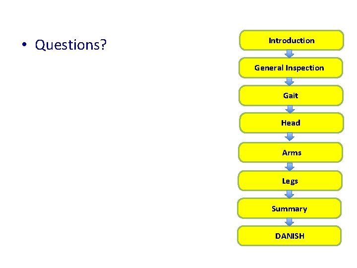  • Questions? Introduction General Inspection Gait Head Arms Legs Summary DANISH 