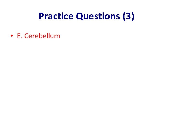 Practice Questions (3) • E. Cerebellum 