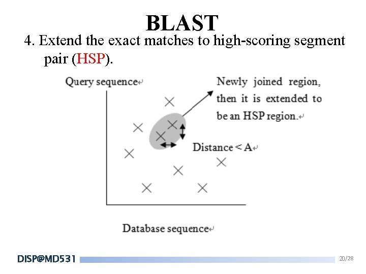 BLAST 4. Extend the exact matches to high-scoring segment pair (HSP). DISP@MD 531 20/28 BLAST 4. Extend the exact matches to high-scoring segment pair (HSP). DISP@MD 531 20/28