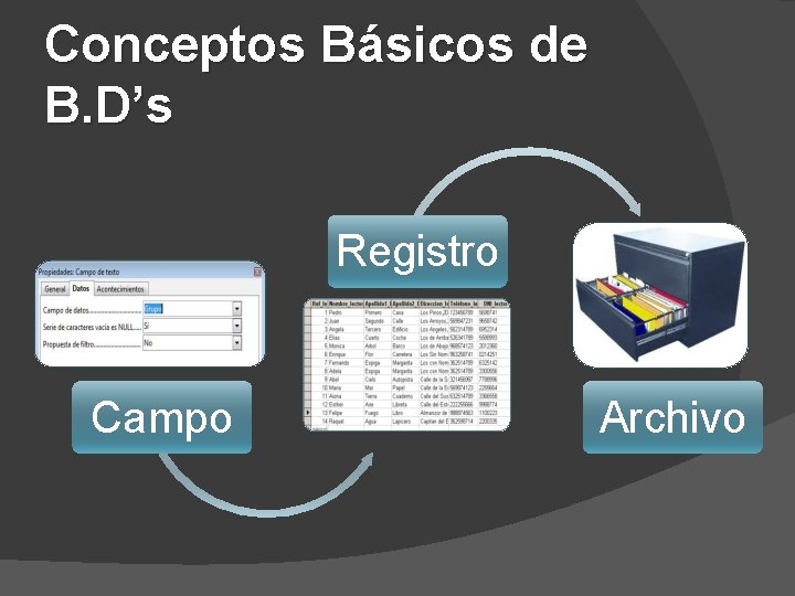 Conceptos Básicos de B. D’s Registro Campo Archivo 