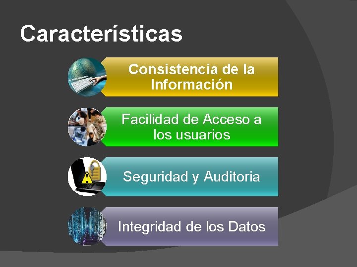 Características Consistencia de la Información Facilidad de Acceso a los usuarios Seguridad y Auditoria