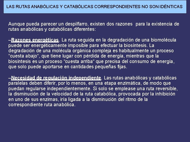 LAS RUTAS ANABÓLICAS Y CATABÓLICAS CORRESPONDIENTES NO SON IDÉNTICAS Aunque pueda parecer un despilfarro,