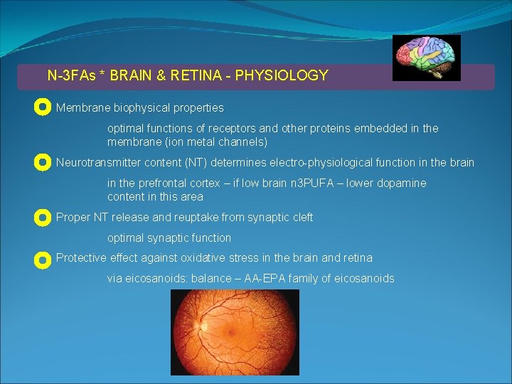 N-3 FAs * BRAIN & RETINA - PHYSIOLOGY Membrane biophysical properties optimal functions of